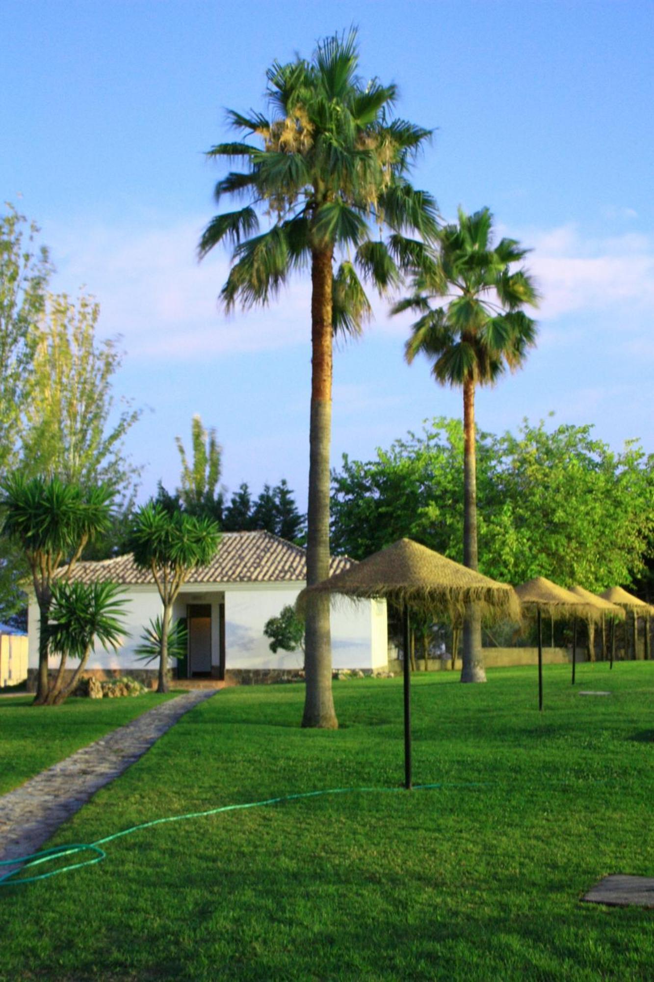 Camping Sierra De Las Nieves Yunquera Esterno foto